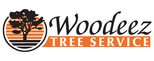 Logo for Woodeez Tree Service featuring a tree silhouette inside an orange and black circle on the left, with Woodeez in black script and TREE SERVICE in white capital letters on an orange background—perfect for inspiring your next kitchen remodel. Logo for Woodeez Tree Service featuring a tree silhouette inside an orange and black circle on the left, with Woodeez in black script and TREE SERVICE in white capital letters on an orange background—perfect for inspiring your next kitchen remodel.